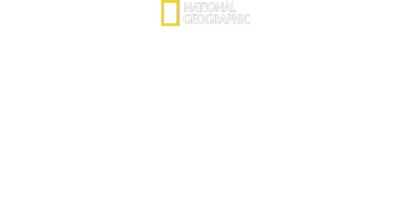 Vita da cucciolo