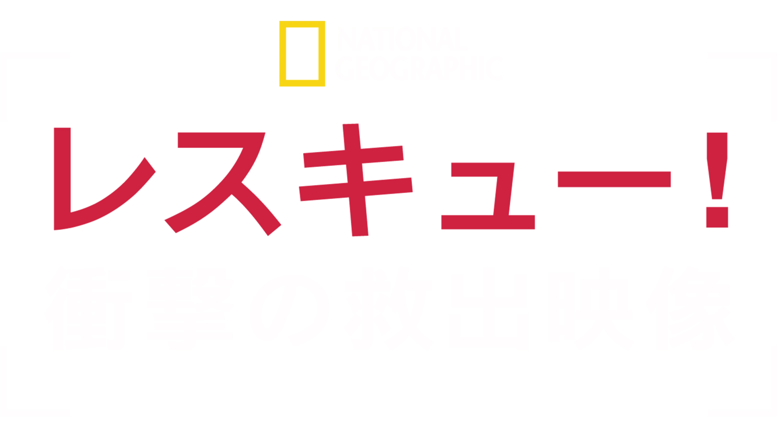 レスキュー！衝撃の救出映像