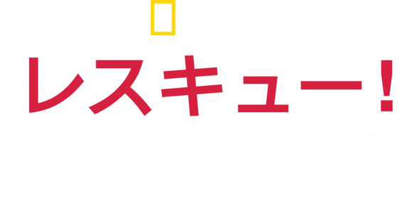 レスキュー！衝撃の救出映像