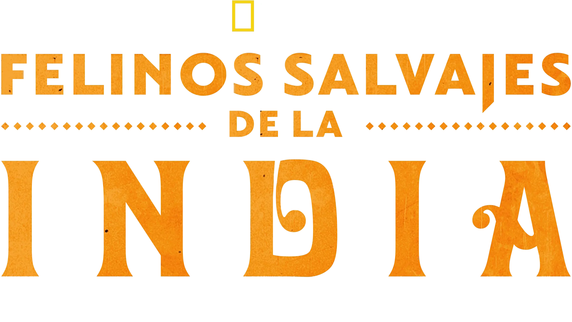 Felinos salvajes de la India