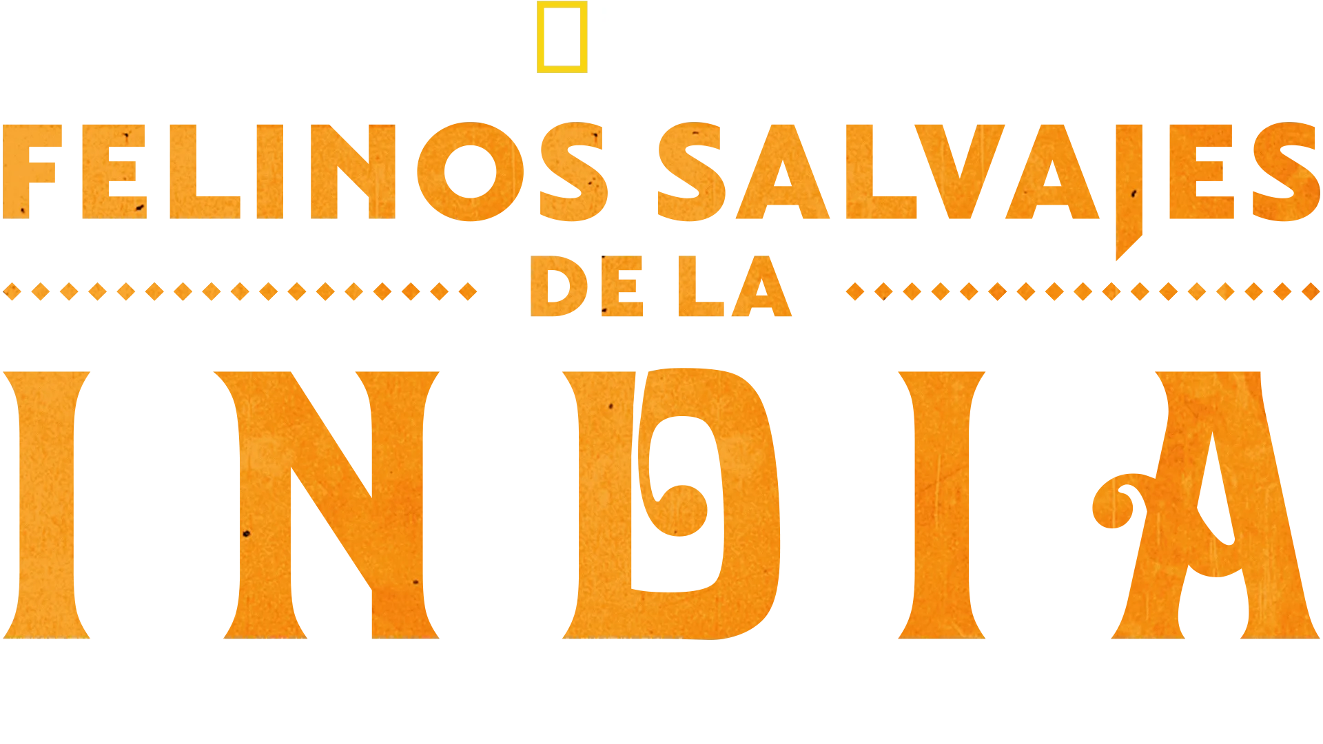 Felinos salvajes de la India