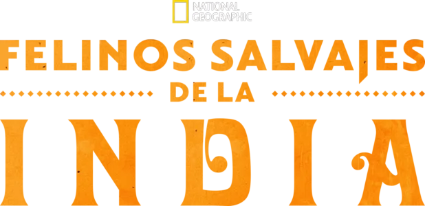 Felinos salvajes de la India