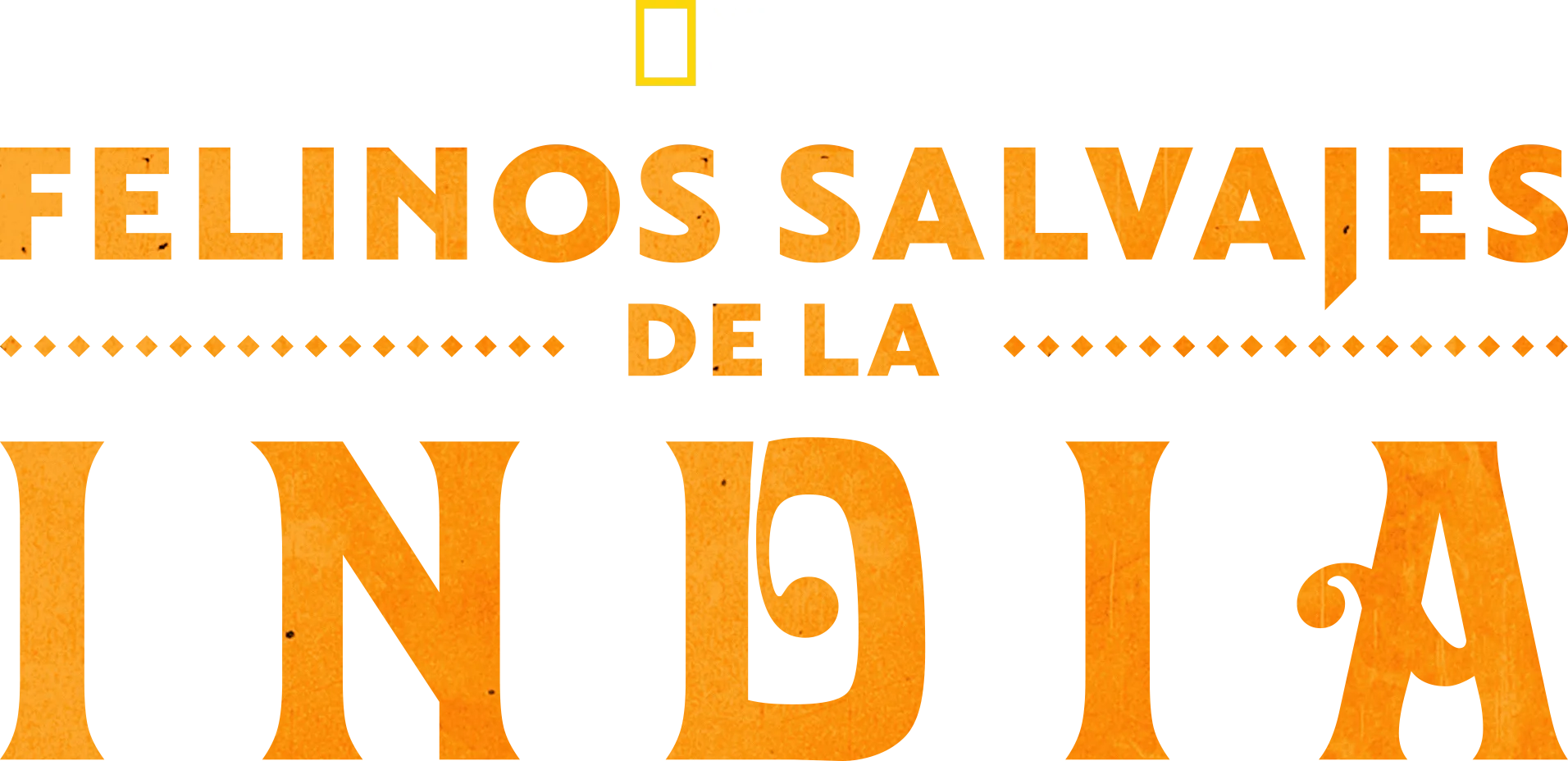 Felinos salvajes de la India