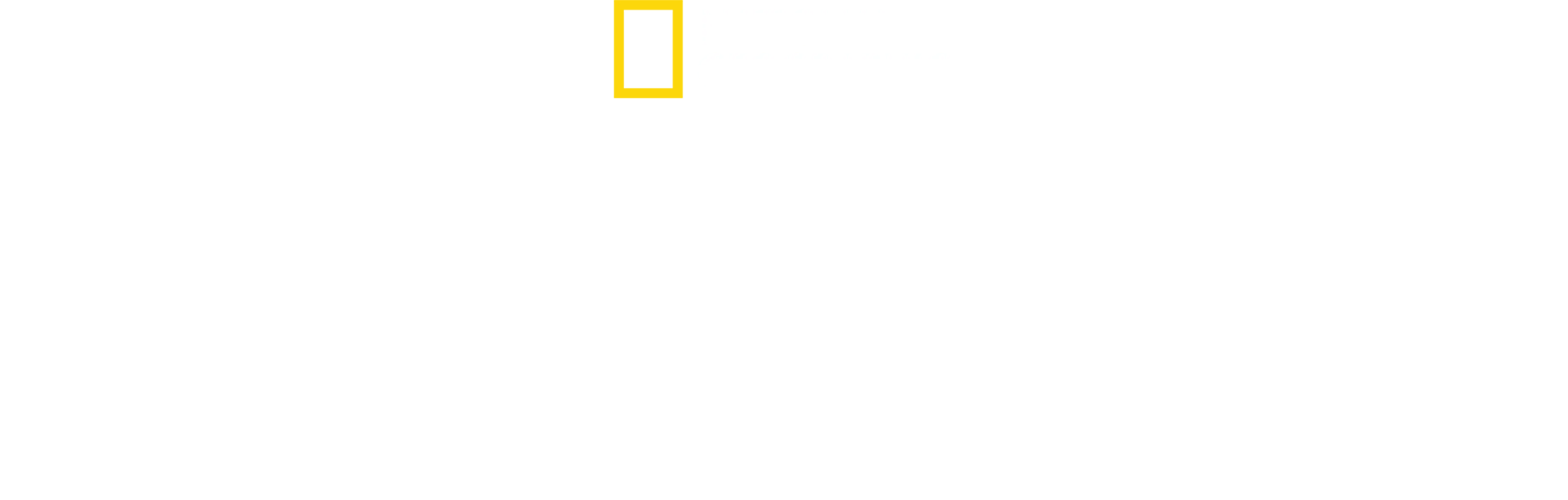 Królestwo drapieżników