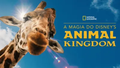 A Magia Disney do Animal Kingdom