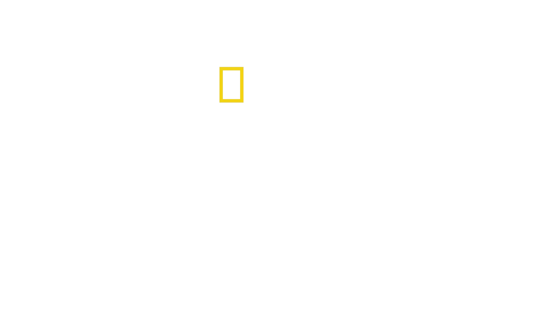 Fabricanții de steaguri
