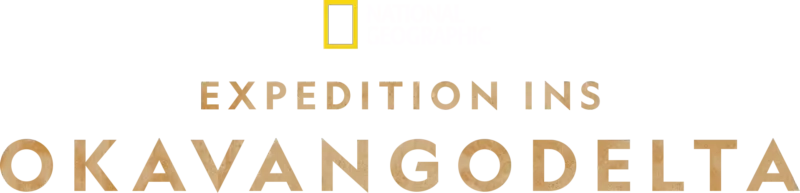 Expedition ins Okavangodelta