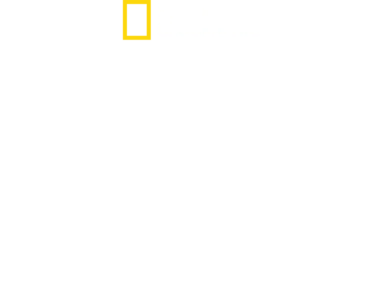 Rumo ao Desconhecido