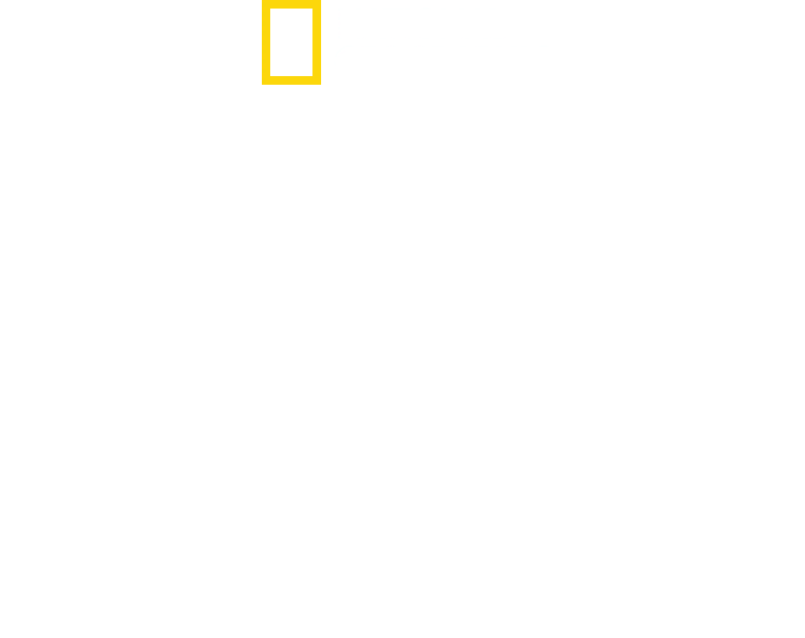 Rumo ao Desconhecido