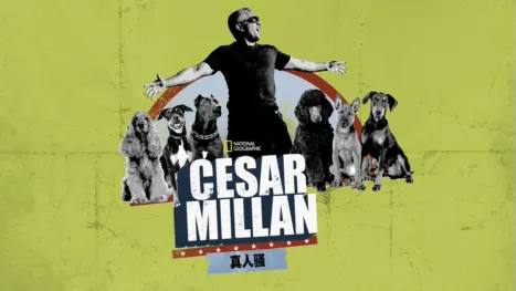 thumbnail - Cesar Millan真人骚