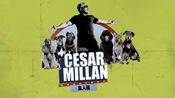 thumbnail - Cesar Millan真人骚