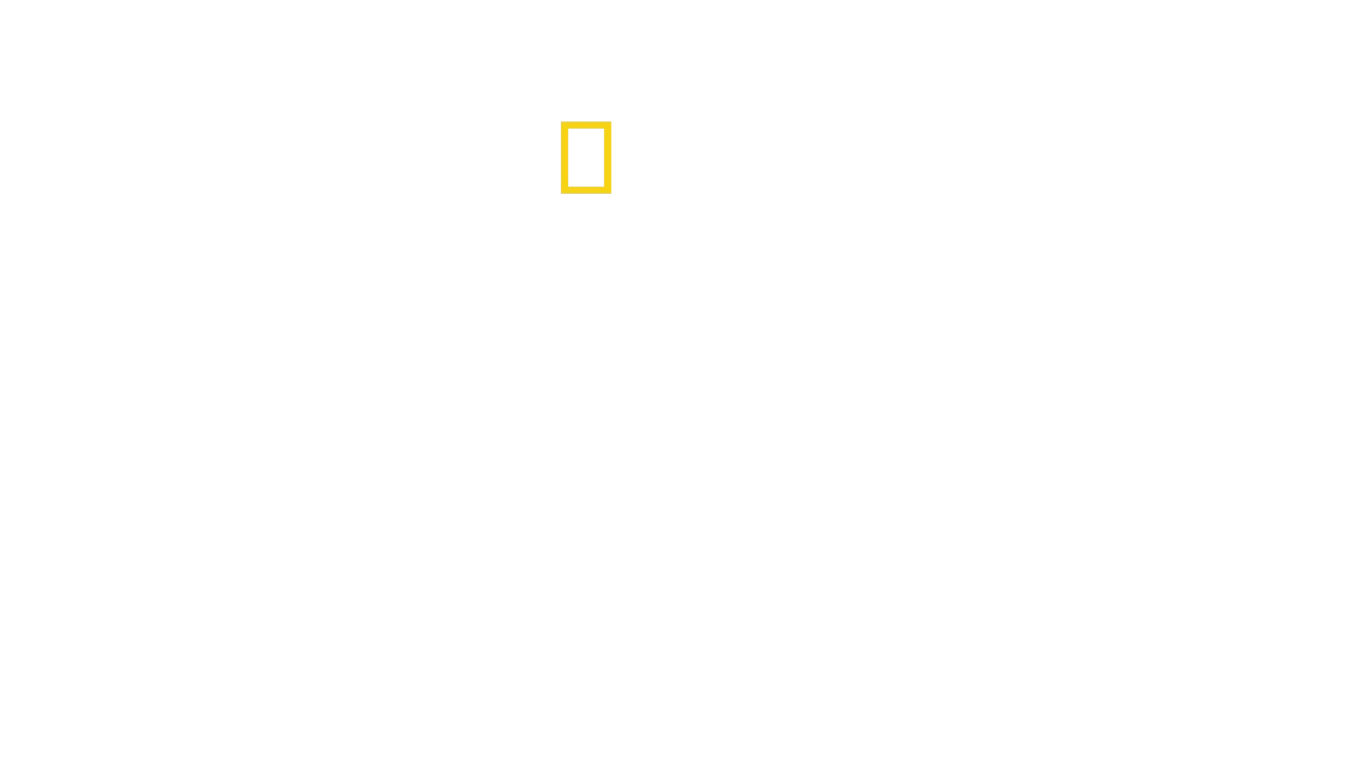 David Blaine : Aux frontières de l’impossible
