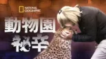 thumbnail - 動物園祕辛