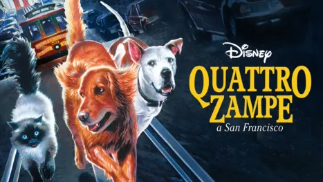thumbnail - Quattro Zampe a San Francisco
