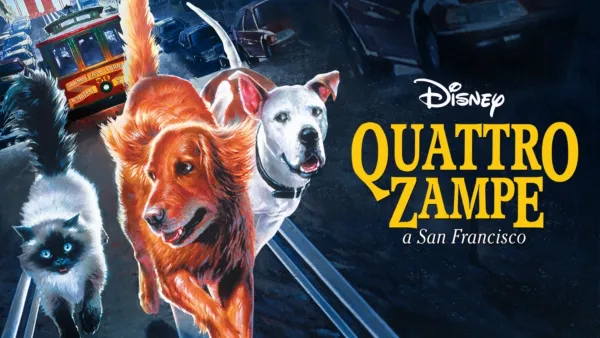 thumbnail - Quattro Zampe a San Francisco