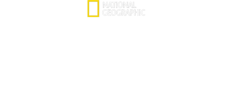 Bayrak Fabrikası