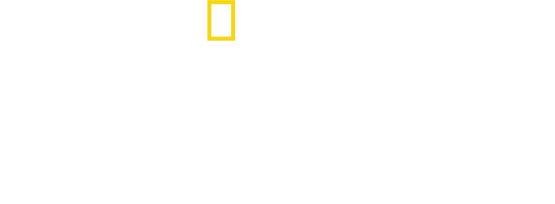Bayrak Fabrikası