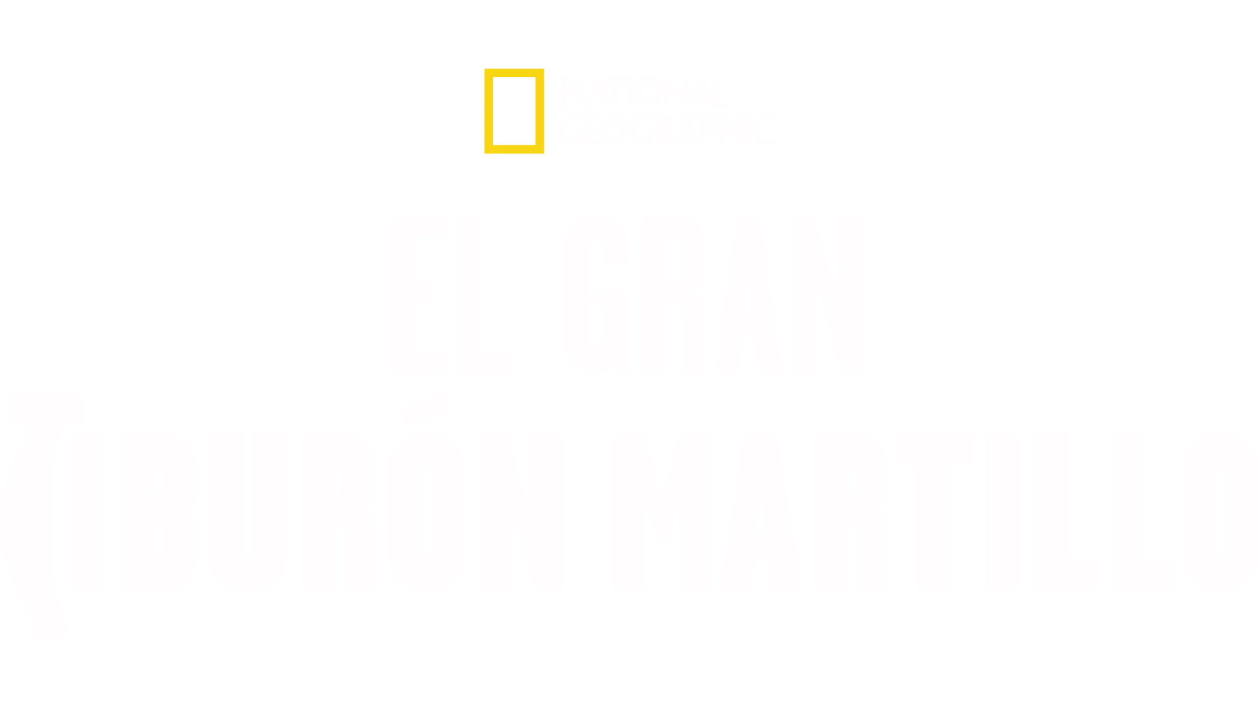 El gran tiburón martillo