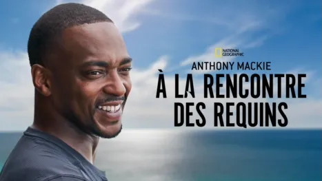 thumbnail - Anthony Mackie à la rencontre des requins
