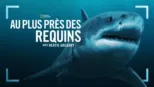 thumbnail - Au plus près des requins avec Bertie Gregory