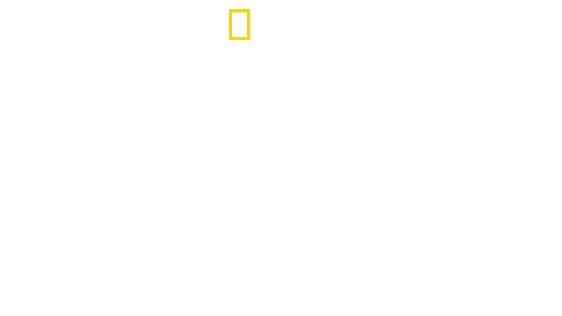 Inside North Korea: The Kim Dynasty