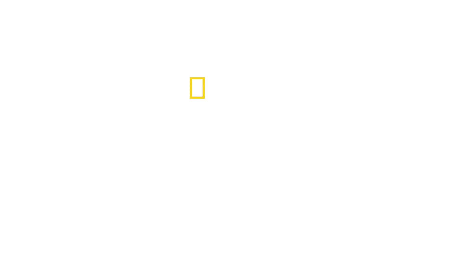 Der Holocaust: Die wahren Ausmaße