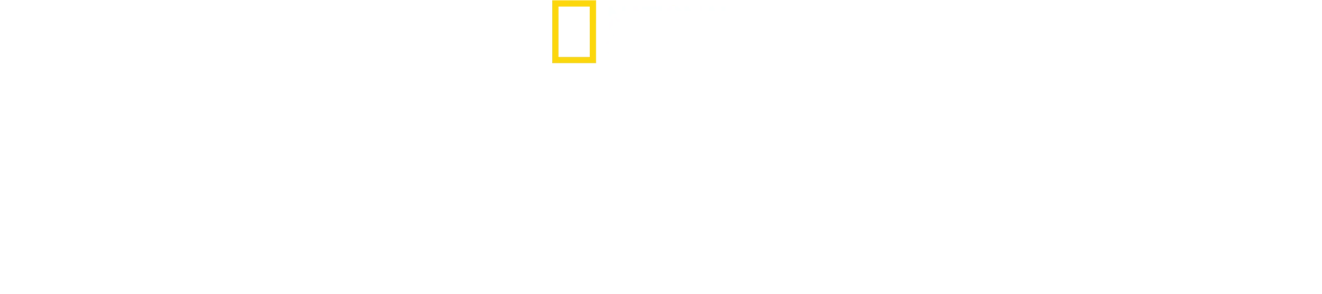Der Holocaust: Die wahren Ausmaße