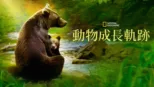 thumbnail - 《動物成長軌跡》