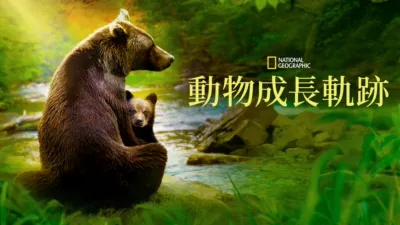 《動物成長軌跡》