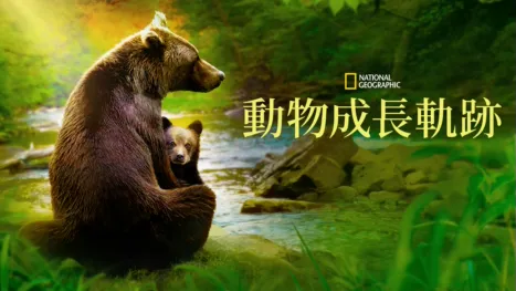 thumbnail - 《動物成長軌跡》
