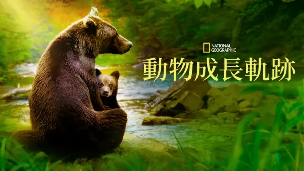 thumbnail - 《動物成長軌跡》