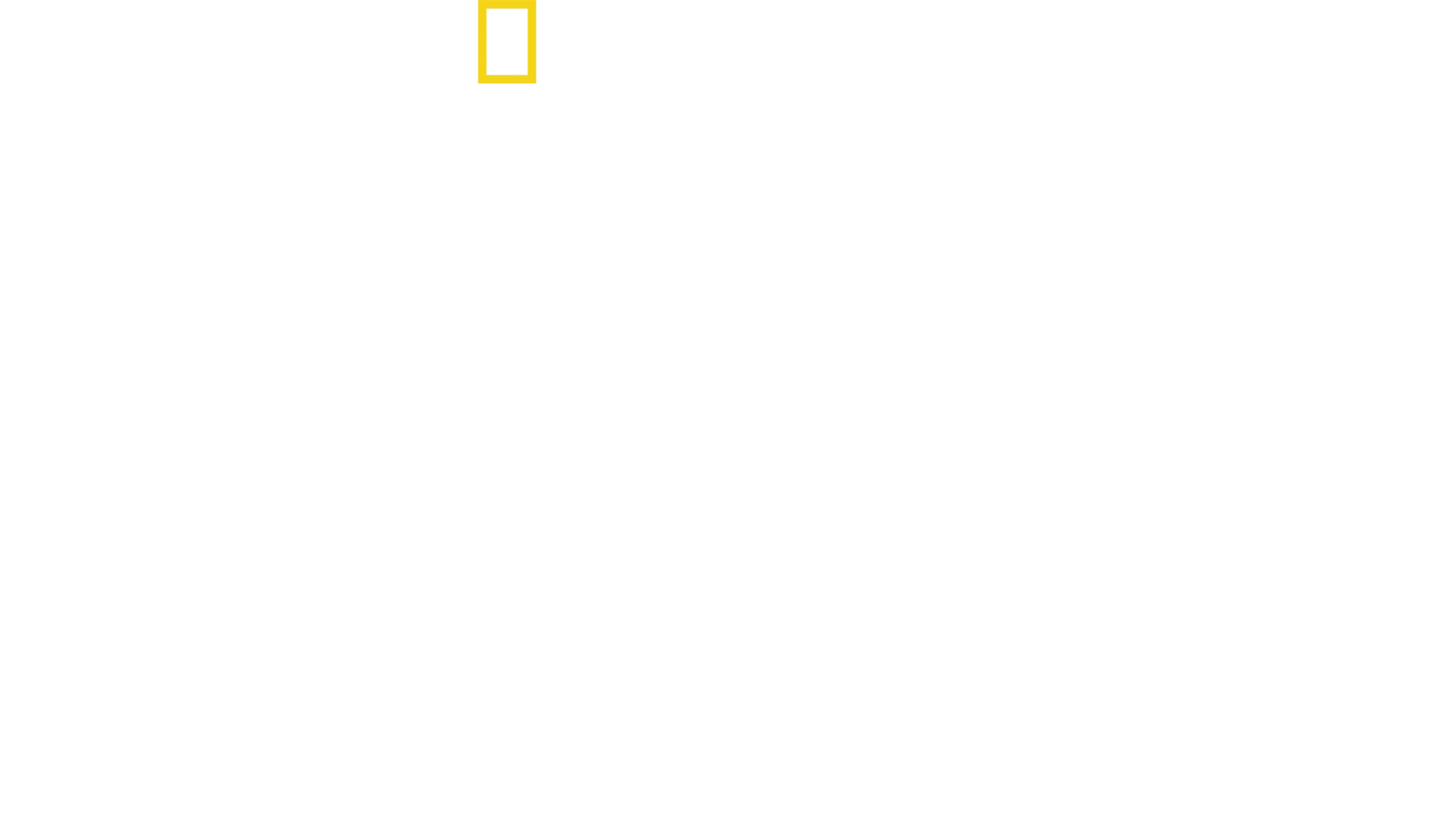 Fuori dal mondo