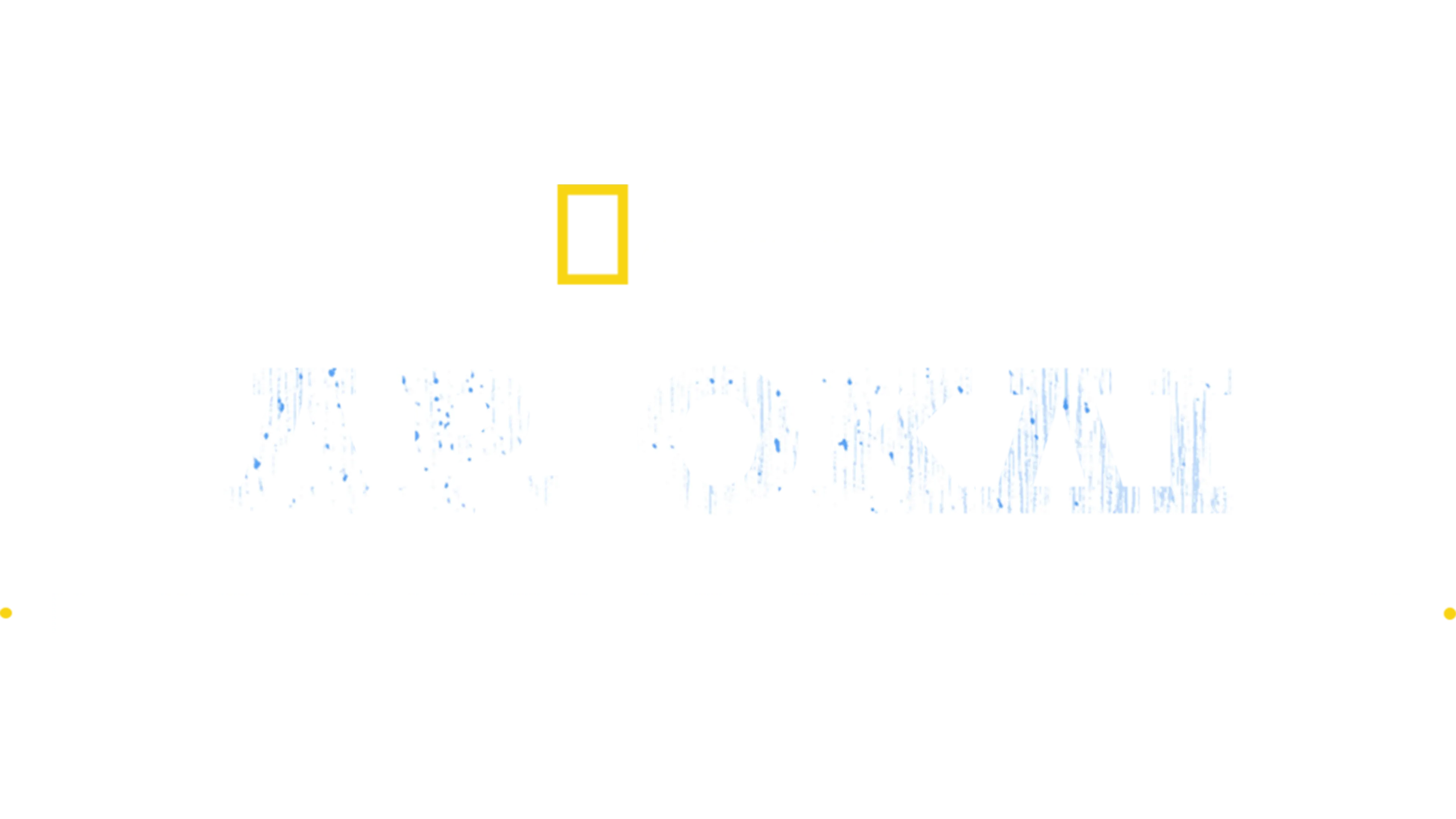 Δρ. Όκλι: Η Κτηνίατρος του Γιούκον