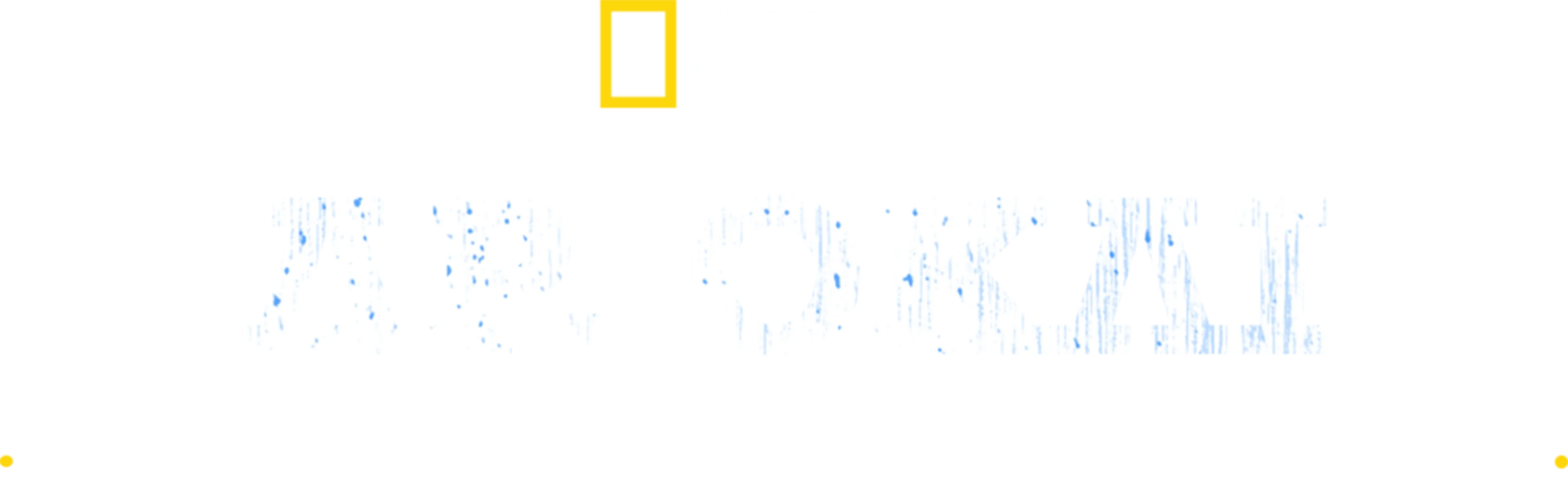Δρ. Όκλι: Η Κτηνίατρος του Γιούκον