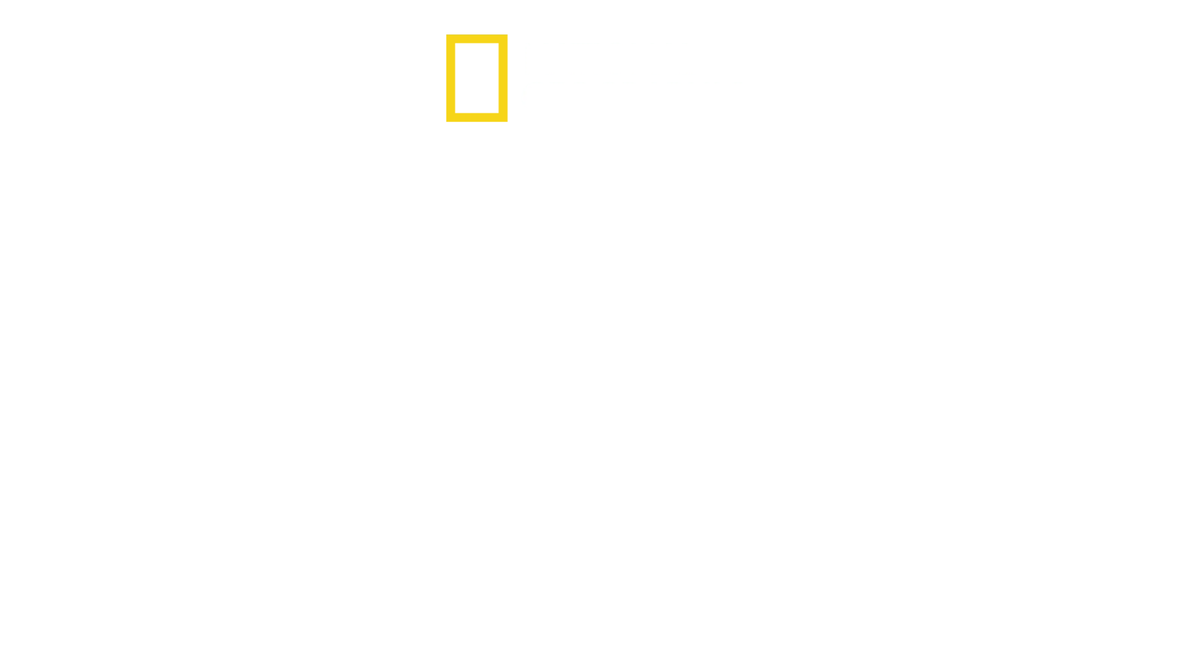 Hazen Audel ile Düşman Hattında