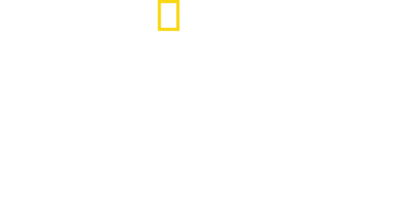 Hazen Audel ile Düşman Hattında