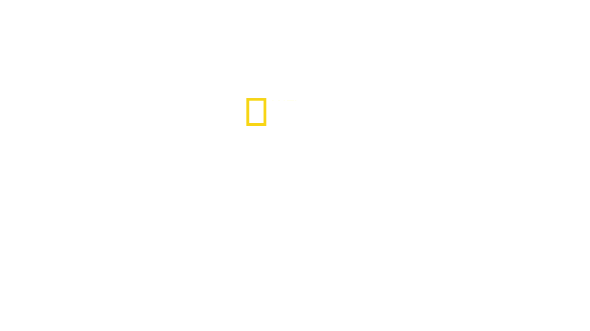 Chris Hemsworth: La playa de los tiburones