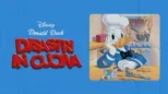 thumbnail - Disastri in cucina