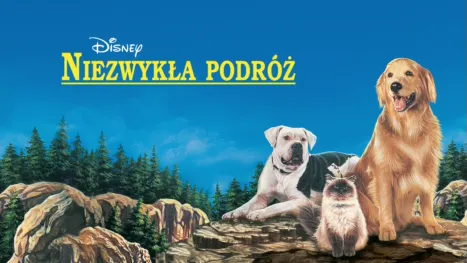 thumbnail - Niezwykła podróż
