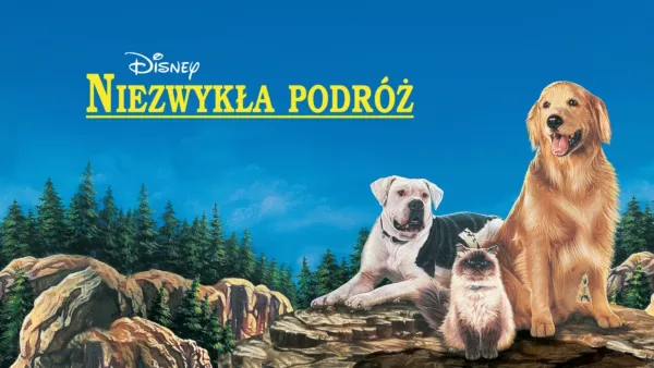thumbnail - Niezwykła podróż