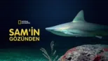 thumbnail - Sam'in Gözünden