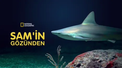 thumbnail - Sam'in Gözünden
