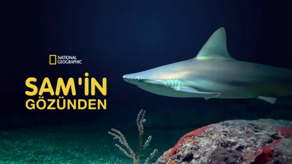 thumbnail - Sam'in Gözünden