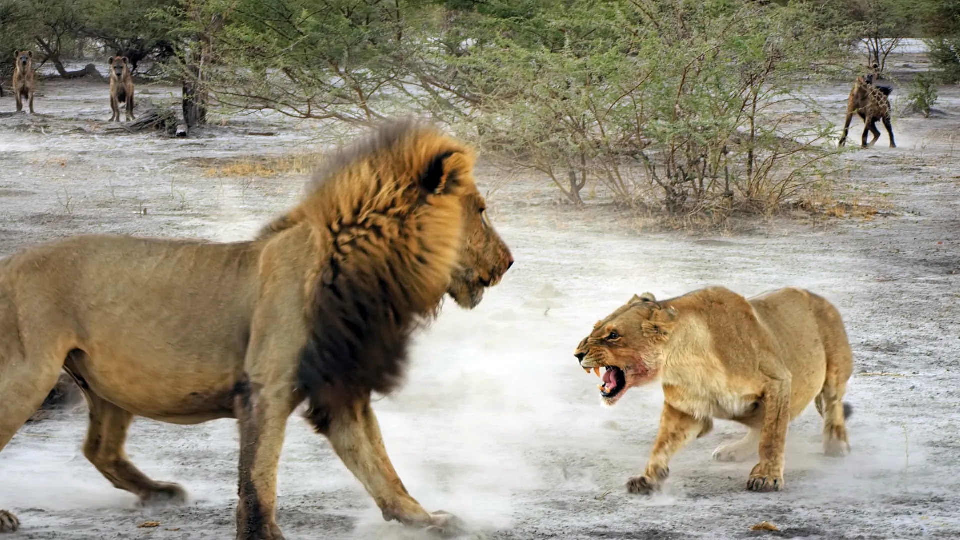 thumbnail - S4:E3 Death of a Dream