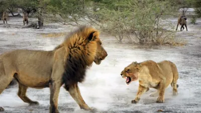 thumbnail - S4:E3 Death of a Dream