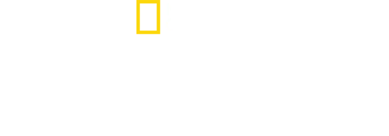 Ztracená města s Albertem Linem