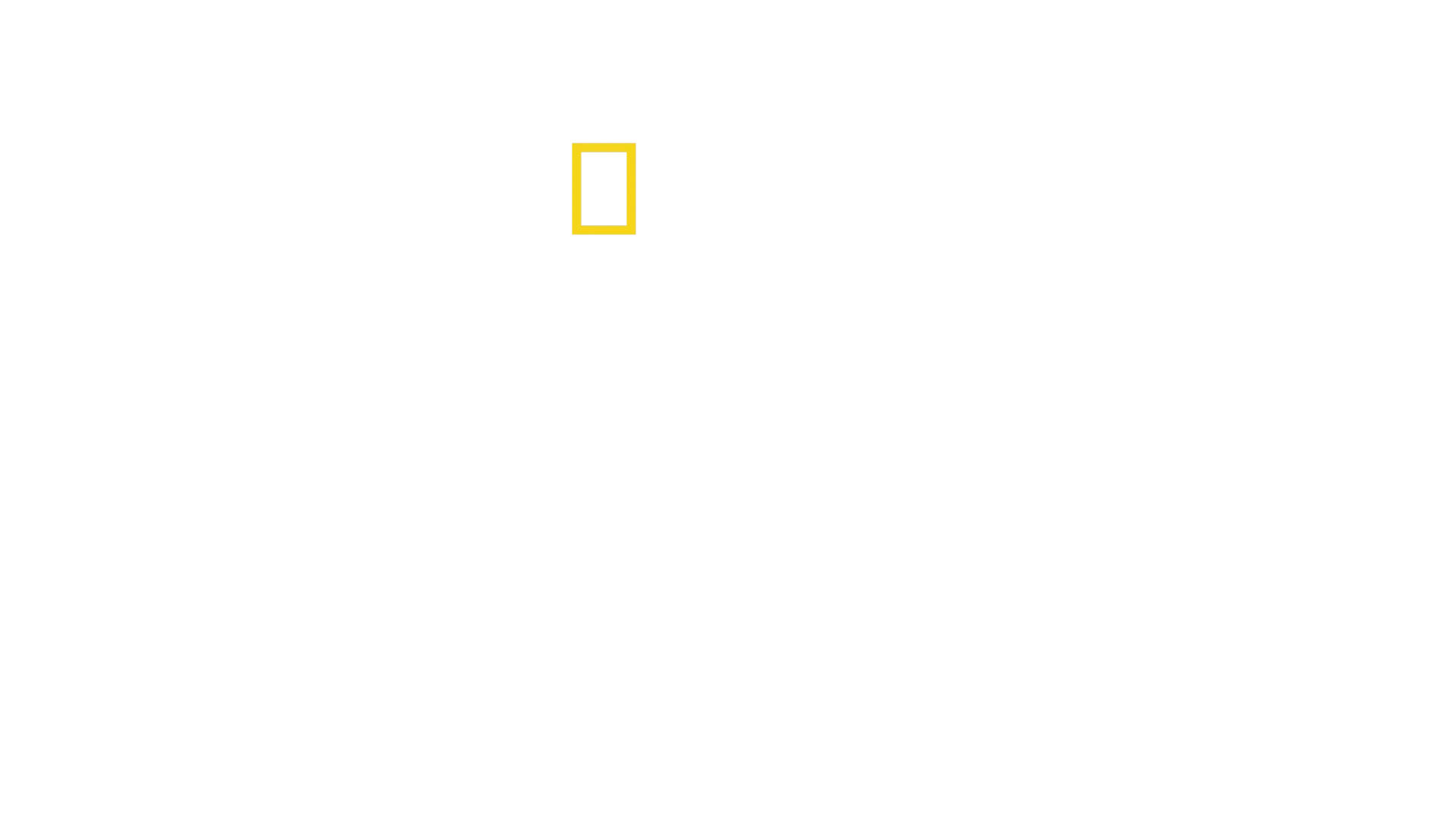 Balinaların Gizemli Dünyası
