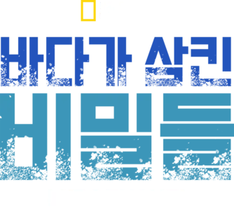 바다가 삼킨 비밀들: 북극&미시시피