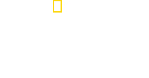 Maradona confidencial