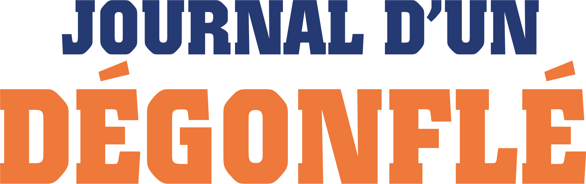 Journal d'un degonfle